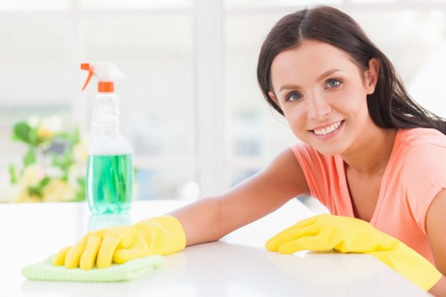 Illustration of cookies used on Surrey Cleaner website