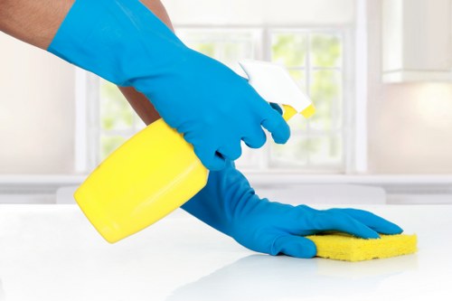 Regular cleaning service for a Surrey home living area