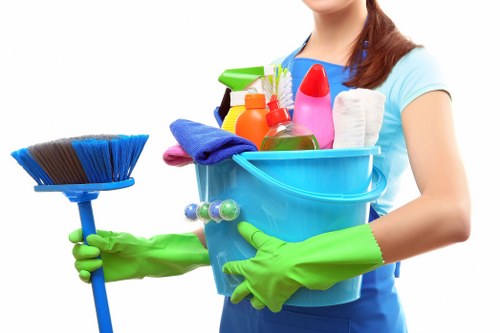 Local cleaner carrying out routine cleaning in a Surrey property