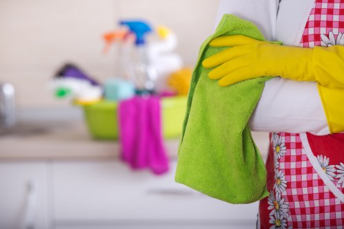 Gutter cleaning service for homes and businesses in Surrey