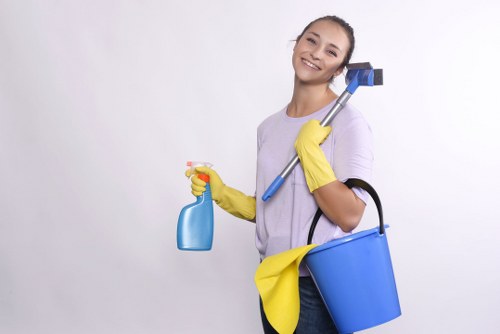 Cleaning cupboards and storage in a Surrey move-in clean