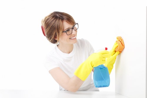Final image representing trusted Surrey cleaning experts and high standards