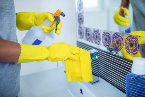Low-carbon van used for sustainable cleaning and collection